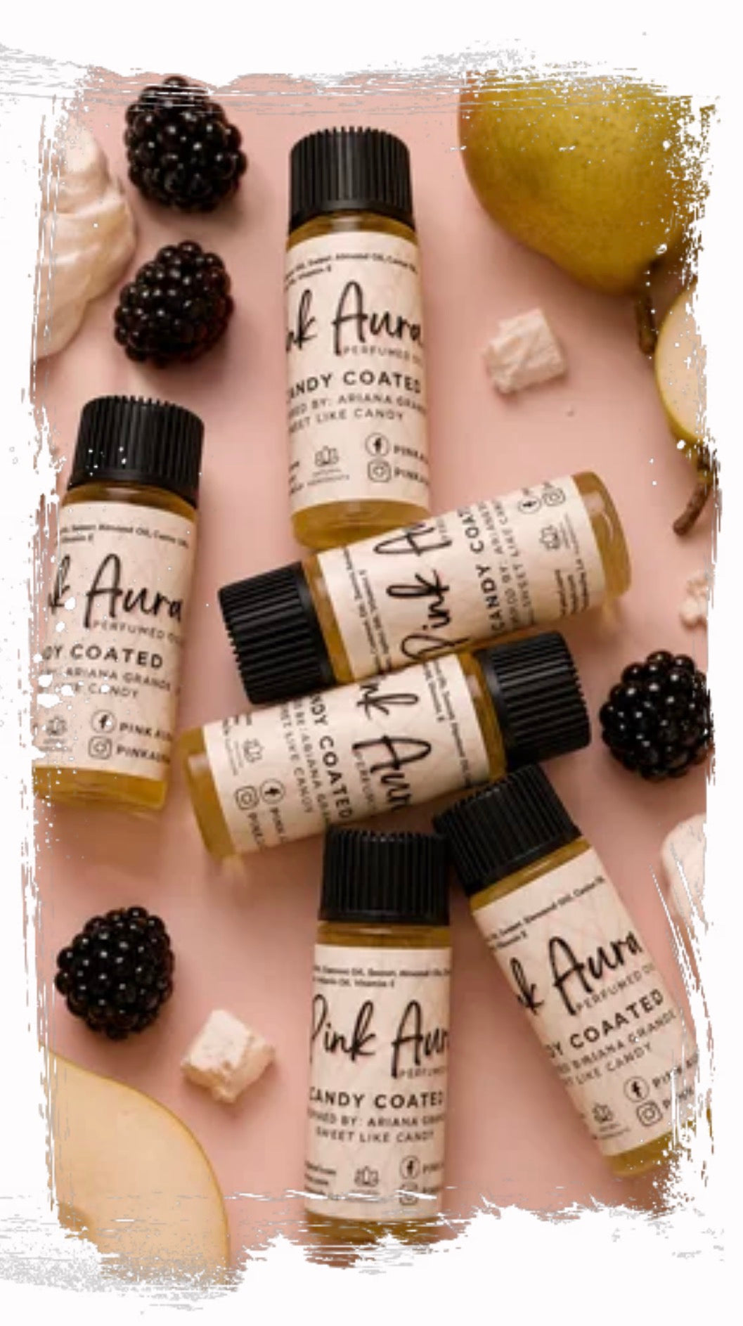 Discovery Bundle